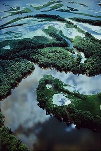 Image description is not available for 1984.028